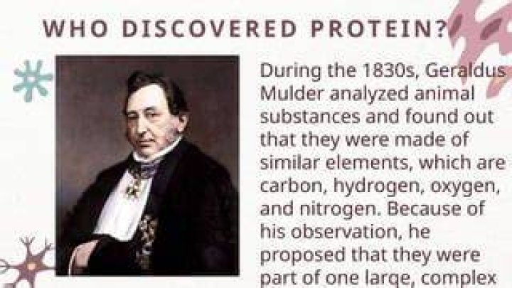 Who discovered protein?