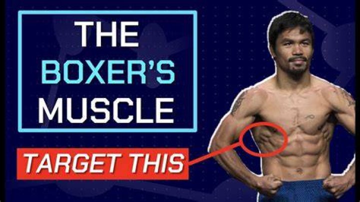Why do boxers have rounded shoulders?