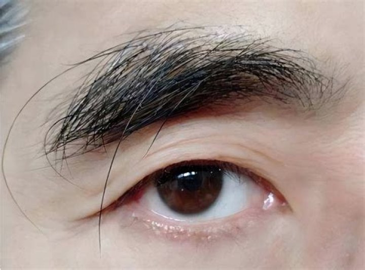 Why do eyebrows grow longer with age?
