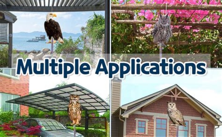 Why do people put fake owls on porch?