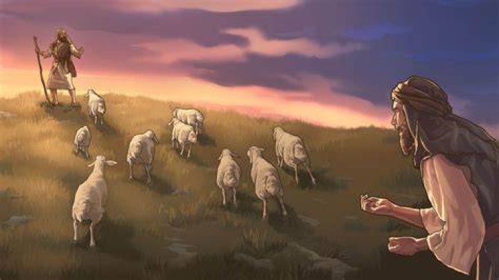Why do sheep listen to shepherds?