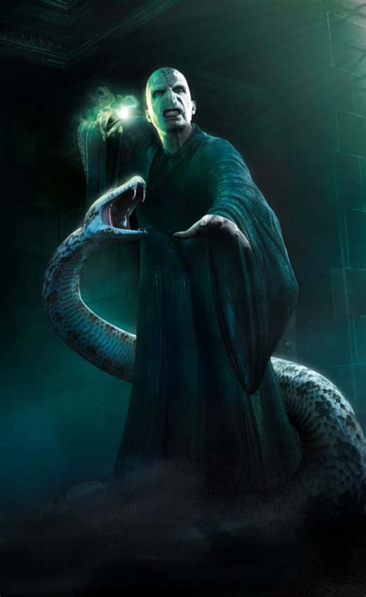 Why is Nagini so loyal to Voldemort?