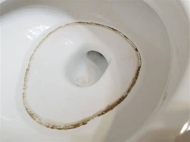 Why is there a blue ring in my toilet?