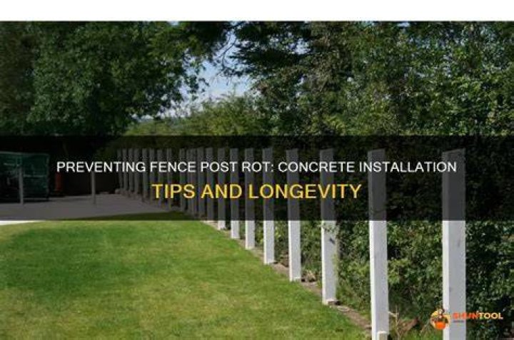 Will treated post rot in concrete?